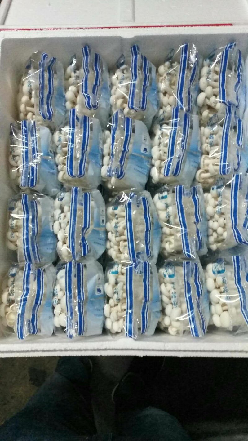 盒蟹盒白