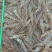 鲜活速冻大虾