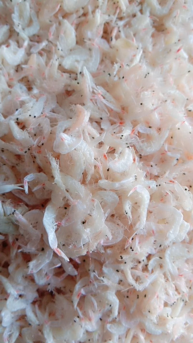 海虾干货深海虾皮