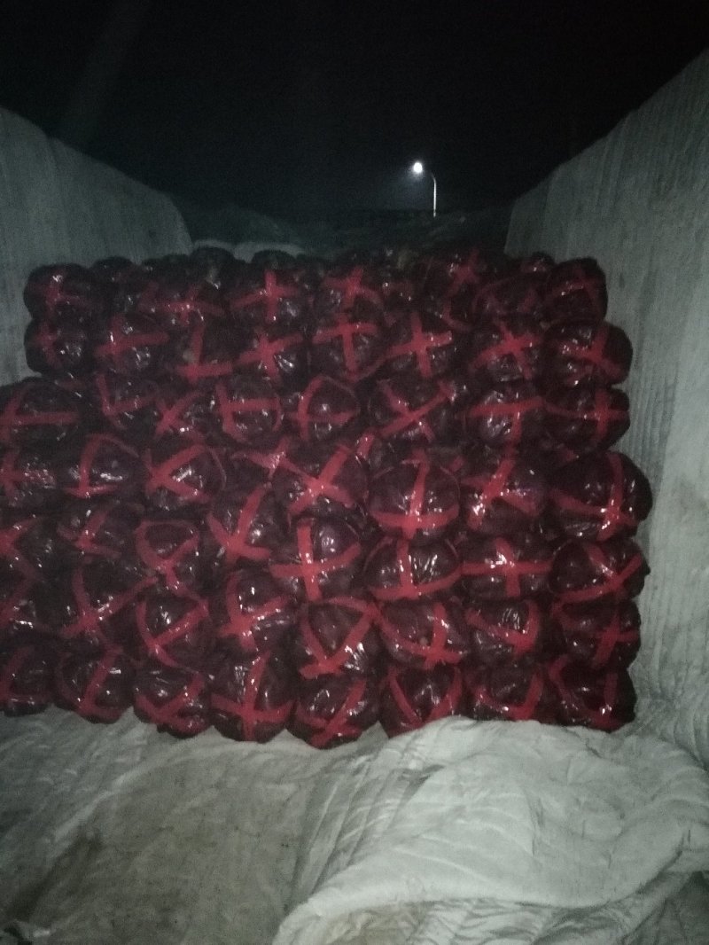 大量窖藏泗水地瓜出售