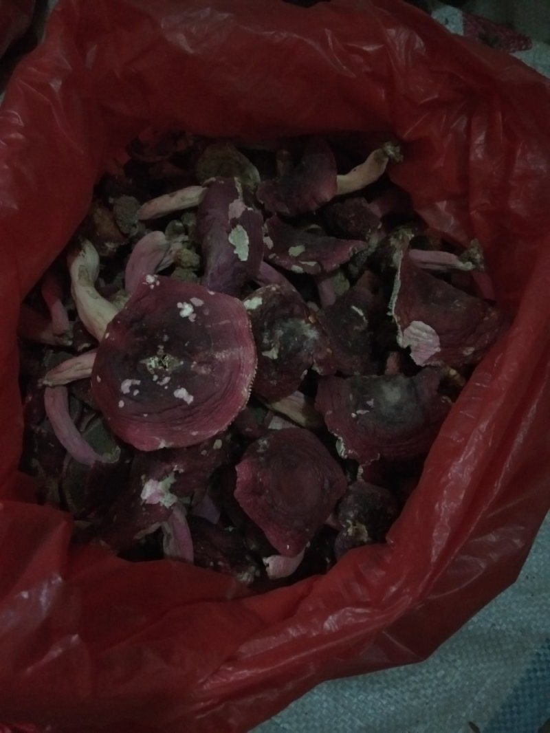 吨天然野生红菇