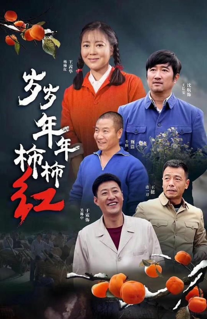 富平正宗特级柿饼