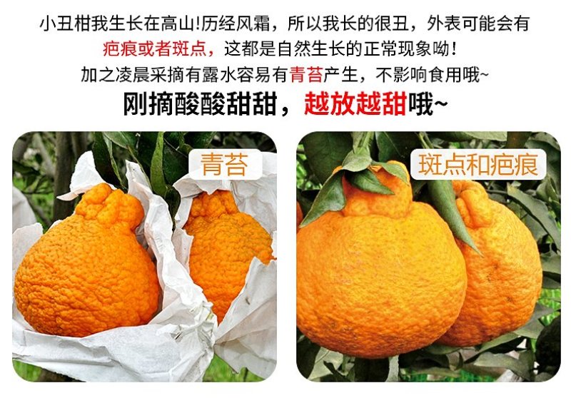 不知火柑桔净重2/3/5，8～9个种规格一件代发