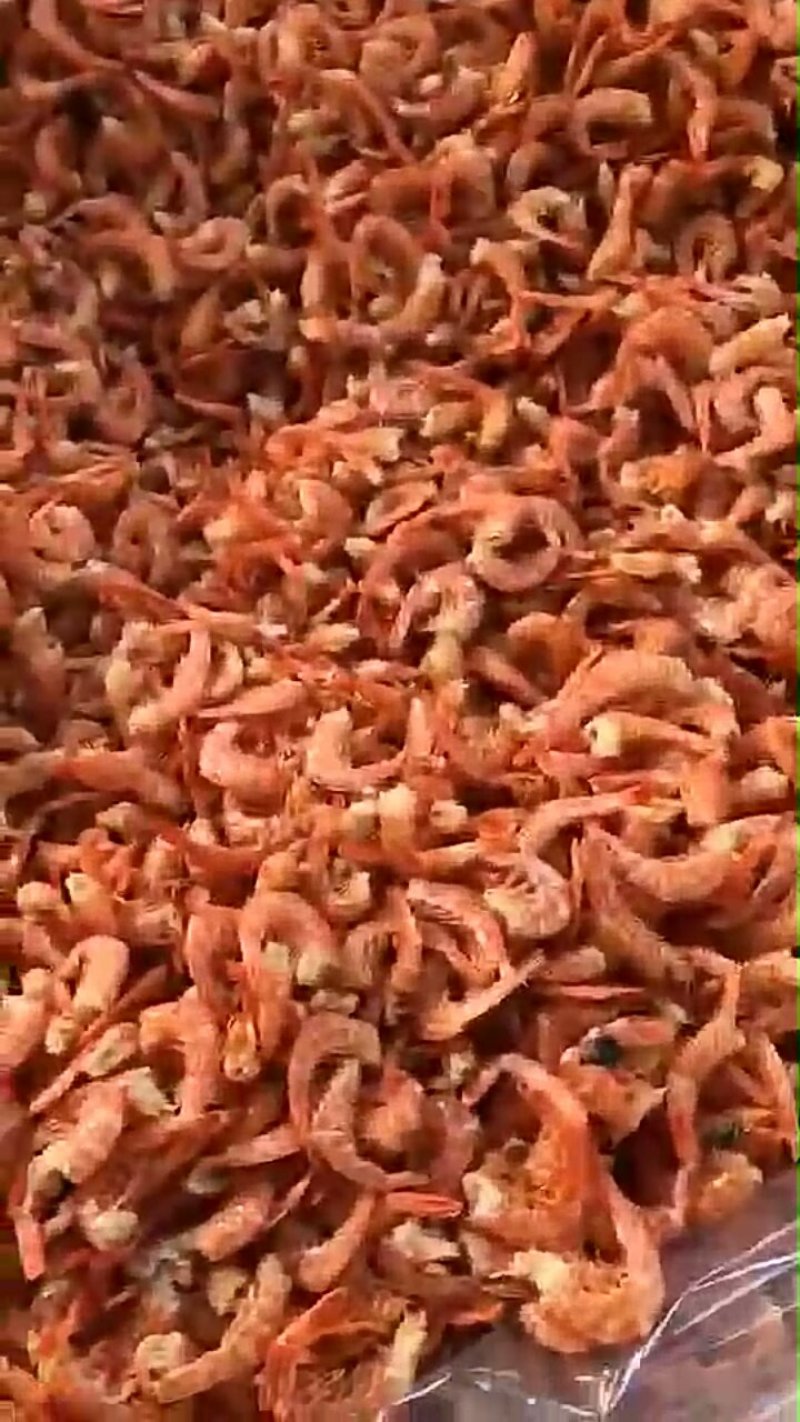 小红虾