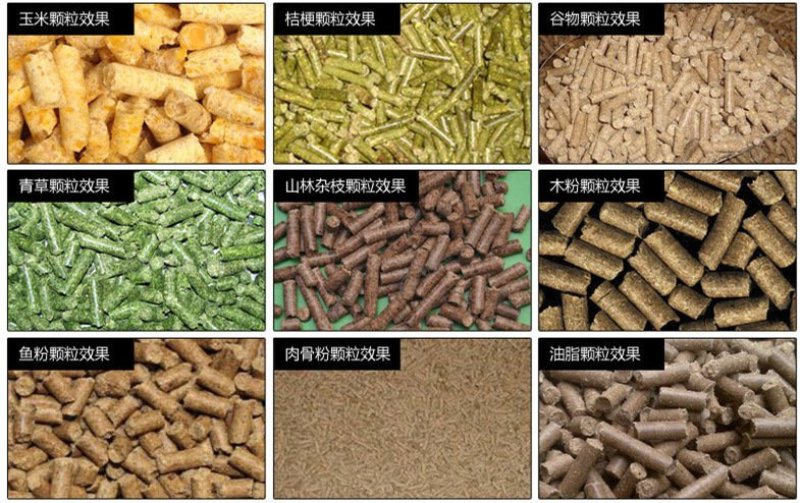 直销牛羊饲料颗粒机家用养殖秸秆造粒机小型平模饲料颗粒