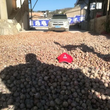 大蒜