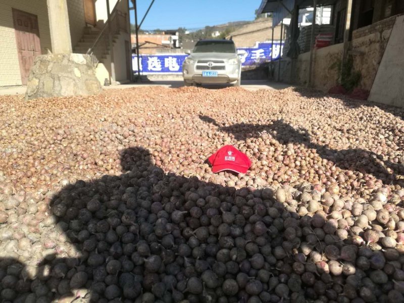 大蒜