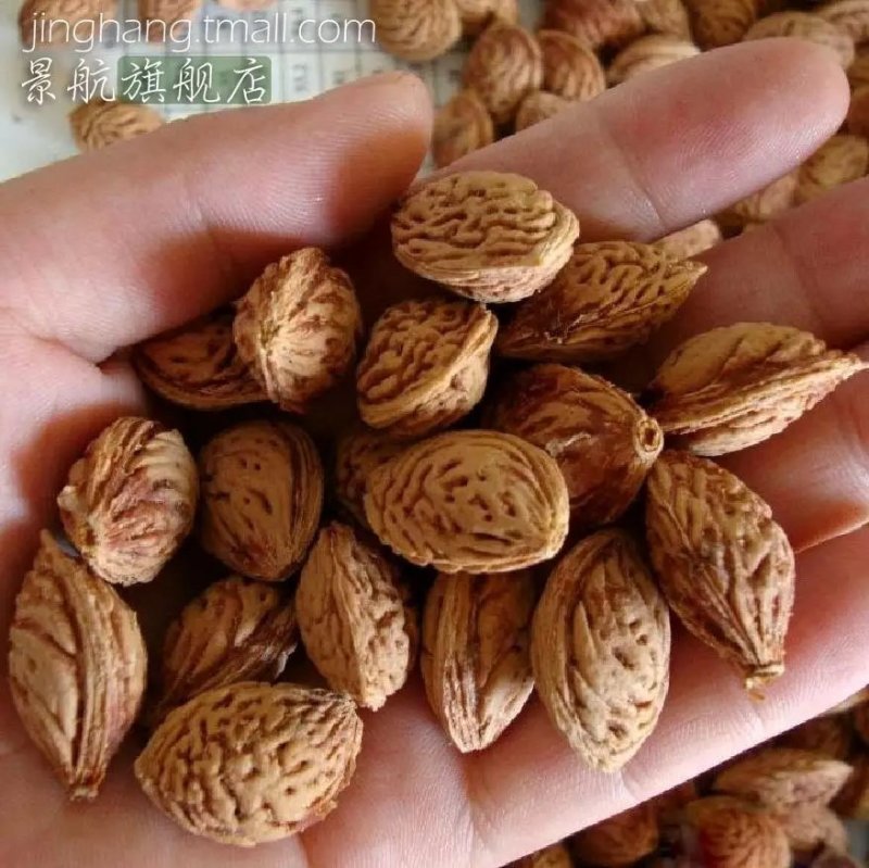 毛桃种子新采毛桃种籽山桃种子桃核桃树种子
