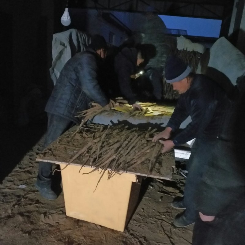 小白嘴
