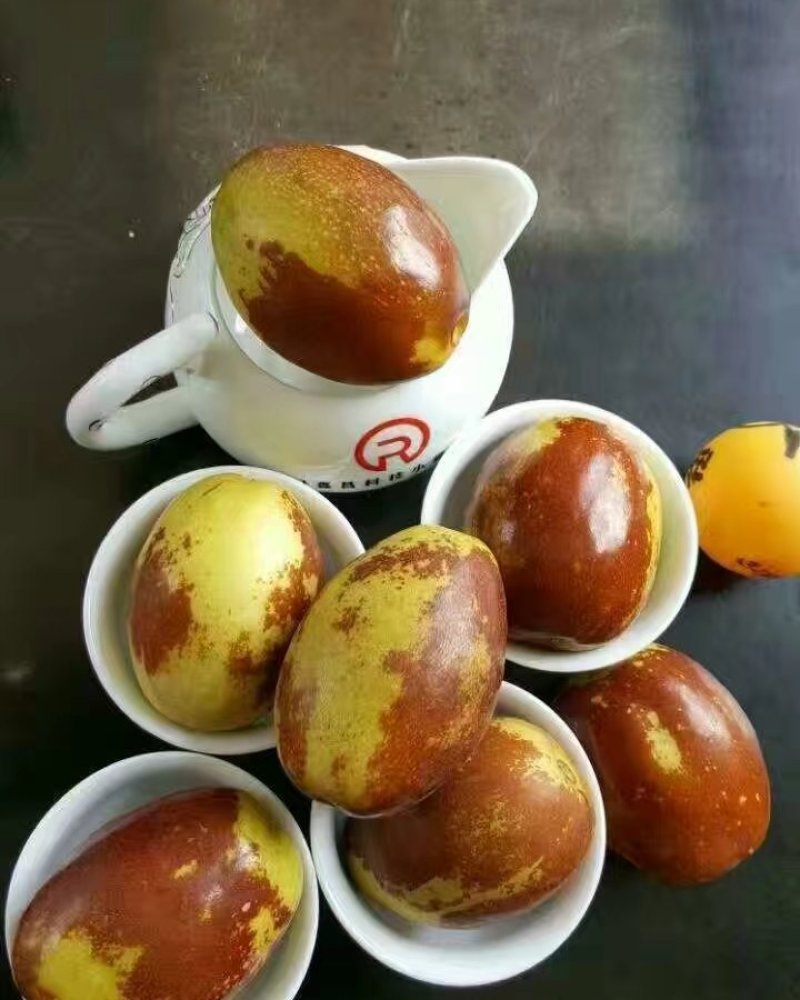 鲜食品种枣树苗，有载种枣树苗的朋友可以联系我