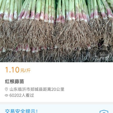 免费服务，包吃包住，确保蔬菜质量