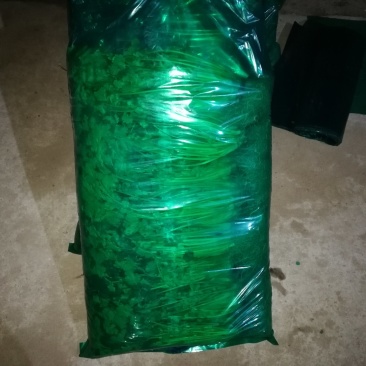香菜，精品，高，矮都有，质量很好