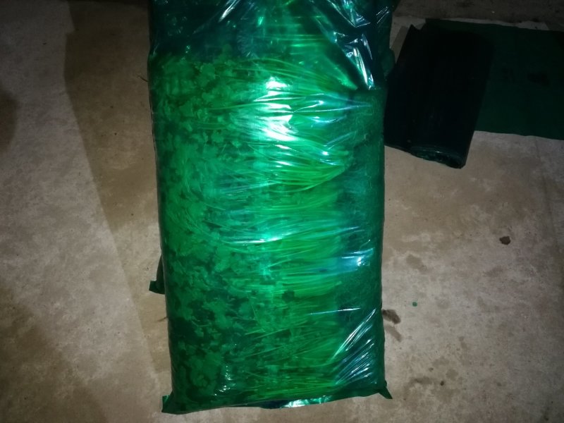 香菜，精品，高，矮都有，质量很好