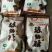 柿饼