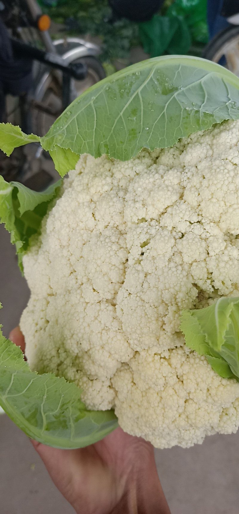 精品有机花菜，全国各地带收，专业代发，诚信经营。