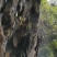 野生蜂蜜。
