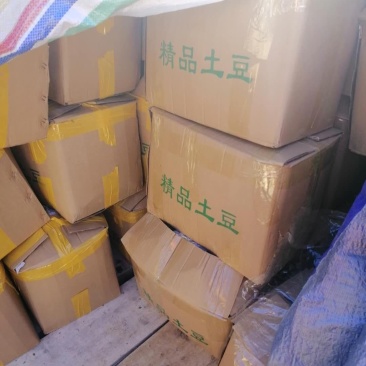 丽薯六号