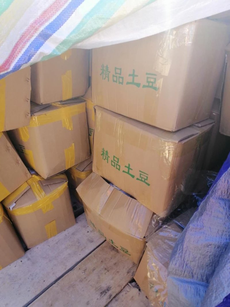 丽薯六号