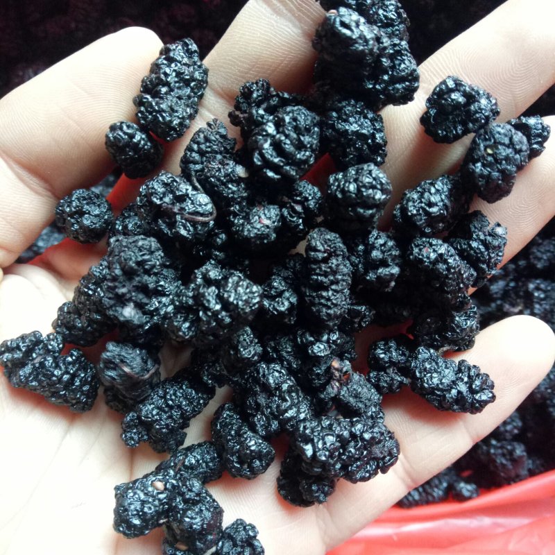 桑葚子干桑椹干水洗货可以直接食用包邮