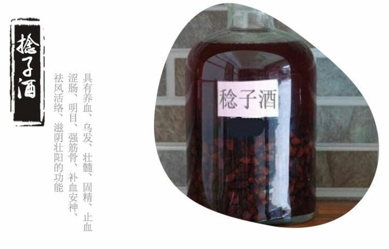 新品种桃金娘树苗山念子苗可泡酒的念果当年结果适合盆栽包售