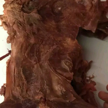 熟牛头