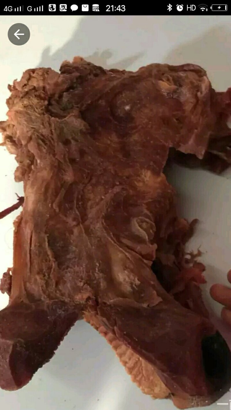 熟牛头