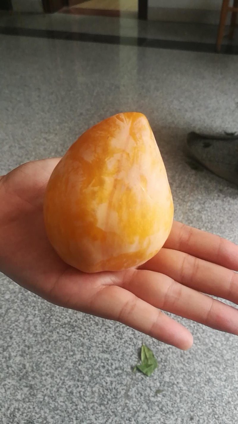 黄金奈李苗