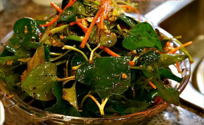 鲜嫩折耳根鱼腥草