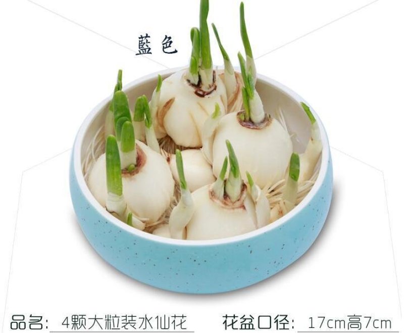 水仙花