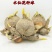 水仙花