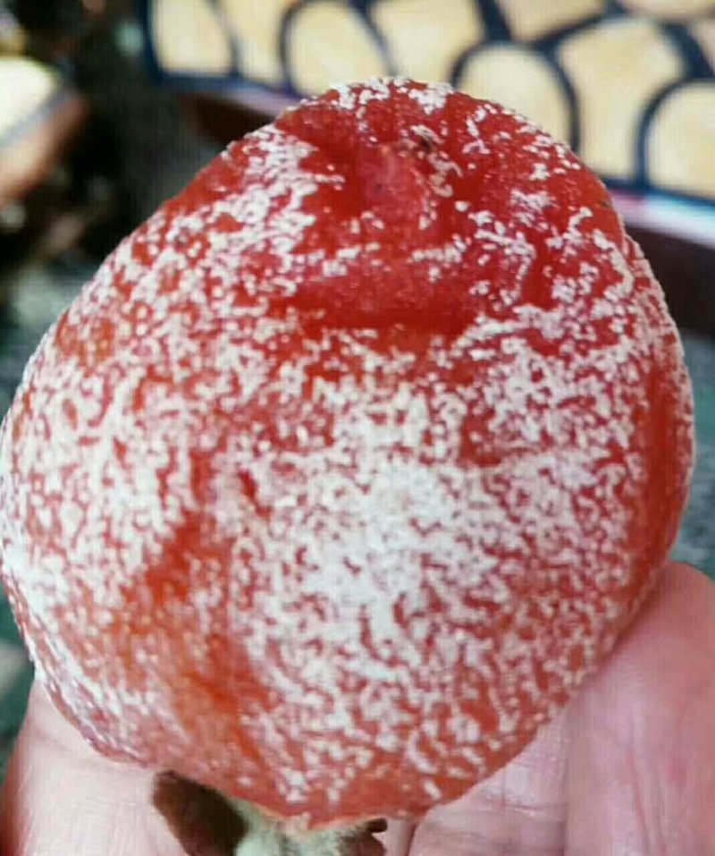 柿饼正热卖中。柿饼分大的，中型，小型