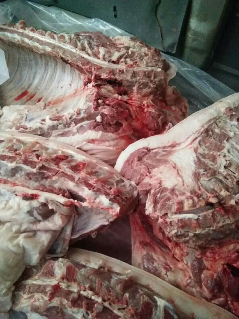 祁家河放养土猪肉