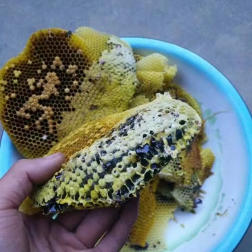 野生蜂蜜，找个量大的长期供货商，货源大，纯野生的0添加，