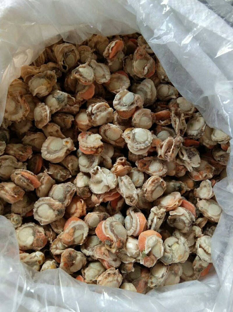 扇贝肉原汁原味无冰扇贝肉大号扇贝肉干冰扇贝肉