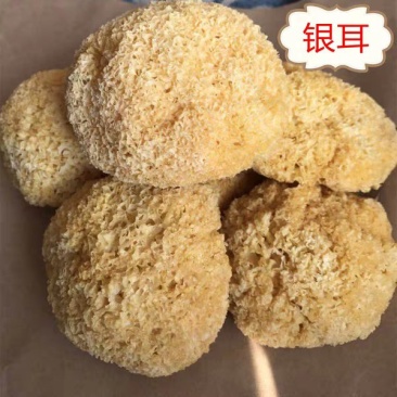 银耳1袋包邮