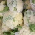 优质精品白面青梗松花菜一手货源。乳白色净菜！