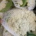 优质精品白面青梗松花菜一手货源。乳白色净菜！