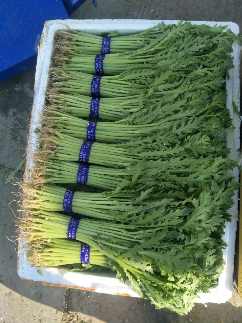 本地精品蒿子杆供应