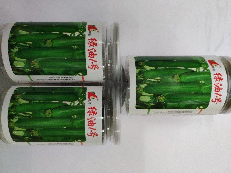 绿油一号油皮丝瓜种籽原装发货支持线上交易