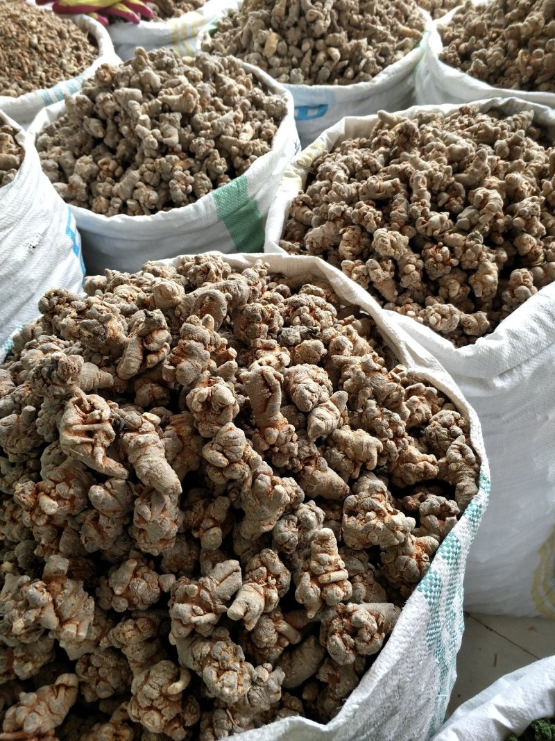 三七标准17头批发各种规格三七