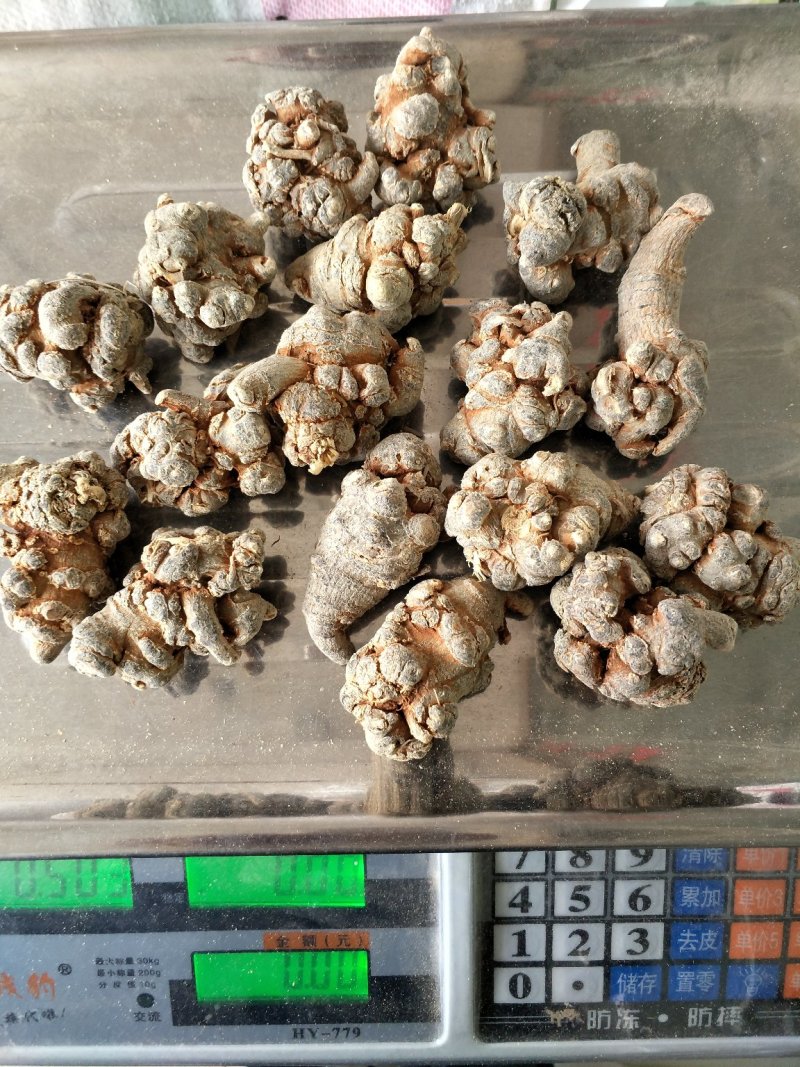 三七标准17头批发各种规格三七