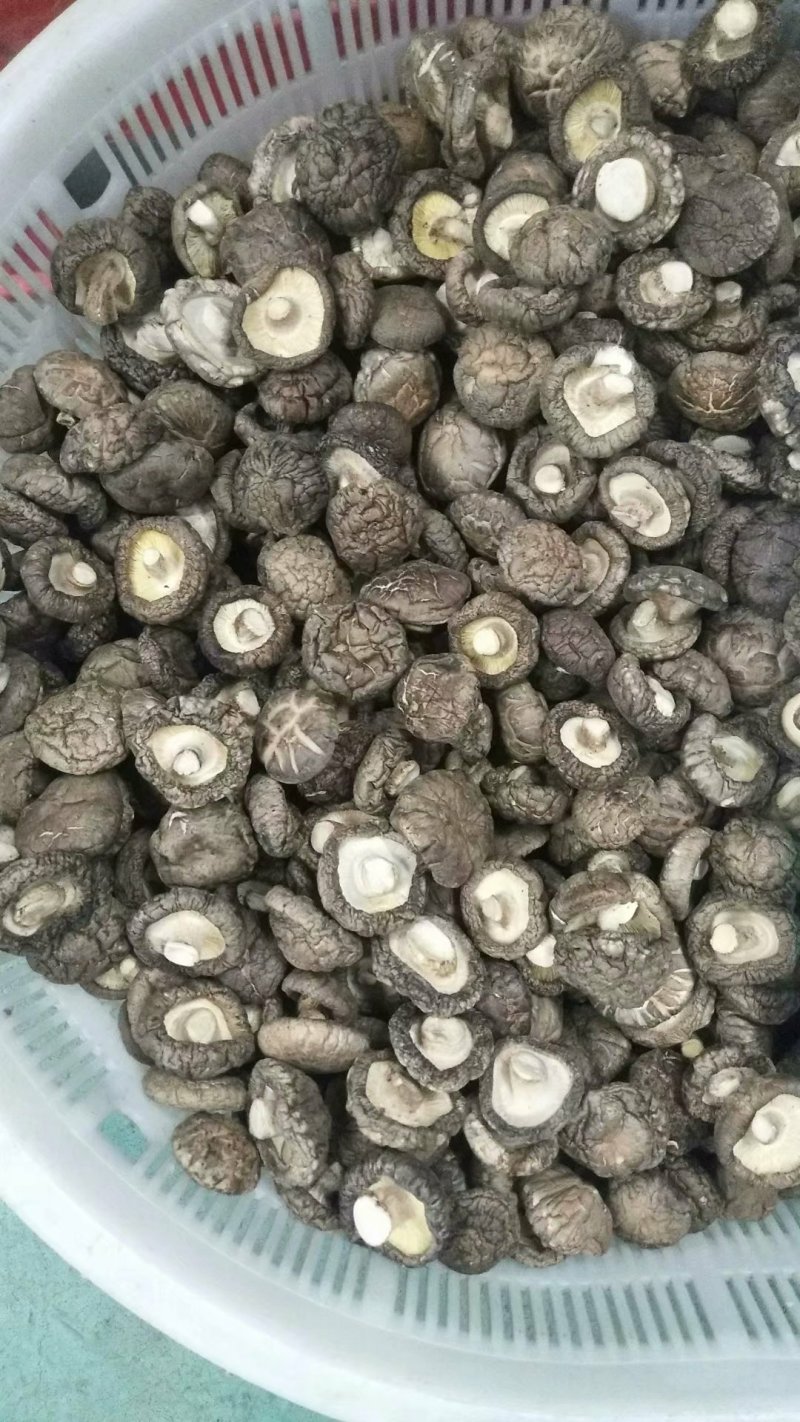 农家一手货源干鲜香菇蘑菇土特产批发