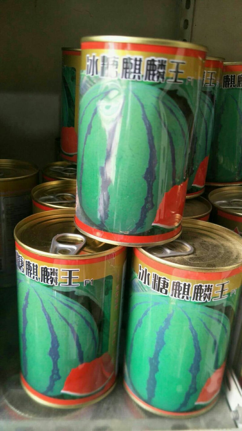 早佳8424西瓜种子50克/桶