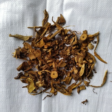 苎麻根