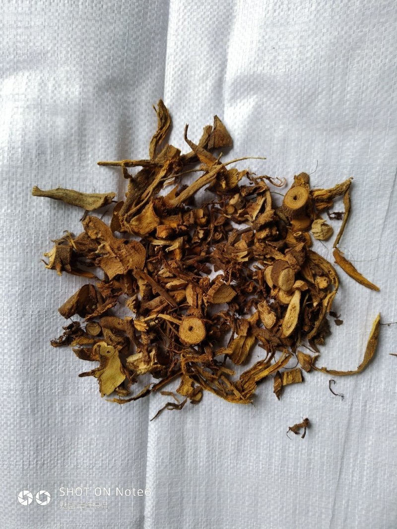 苎麻根