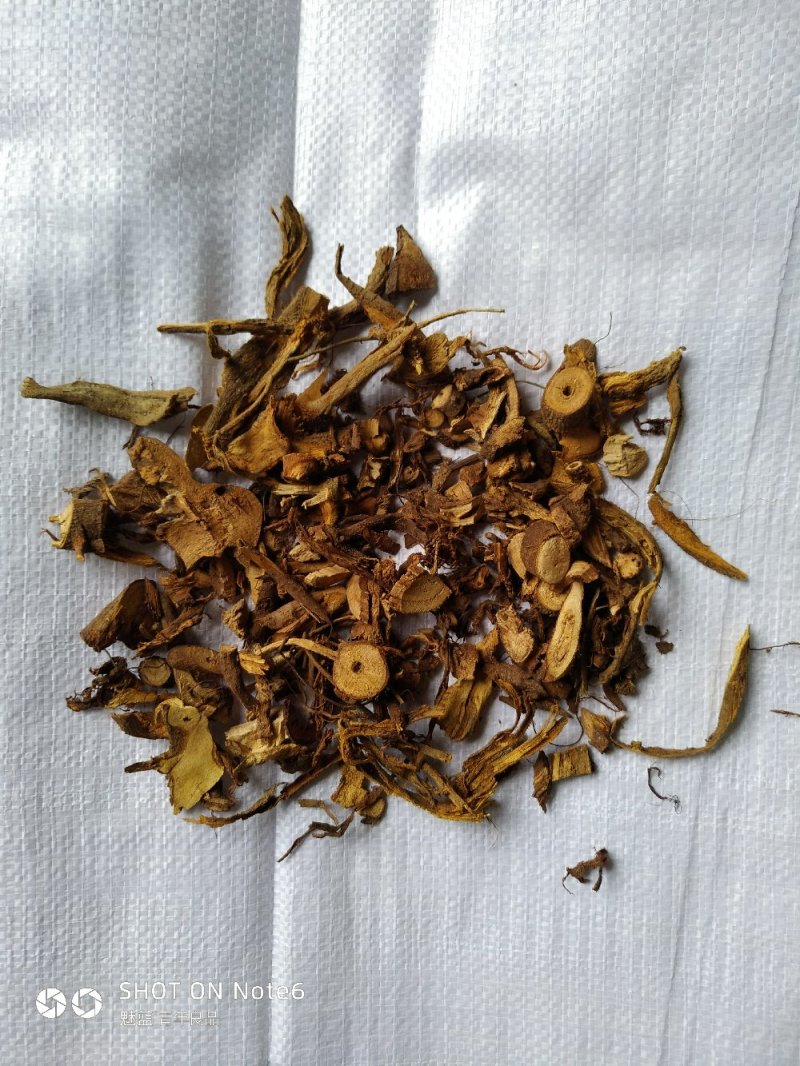 苎麻根