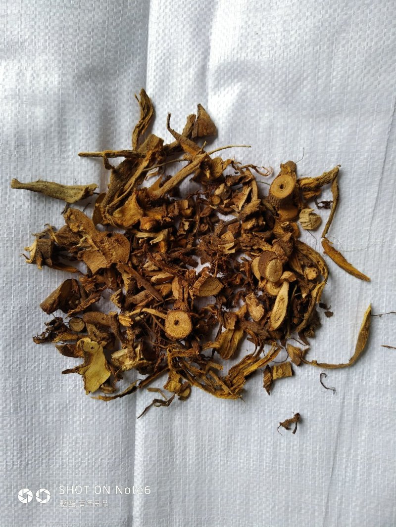 苎麻根