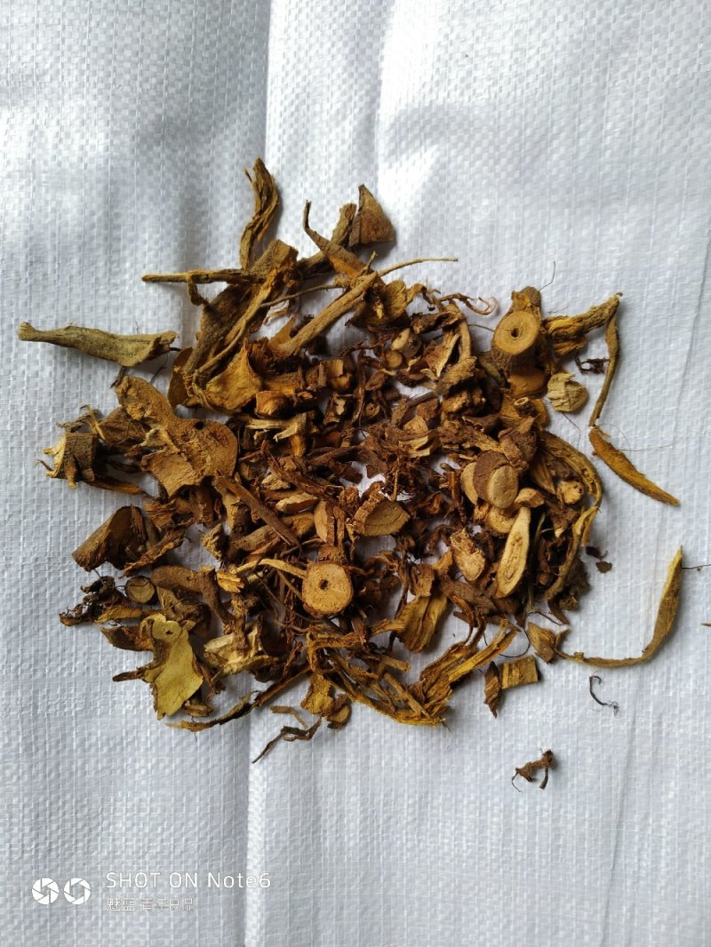苎麻根