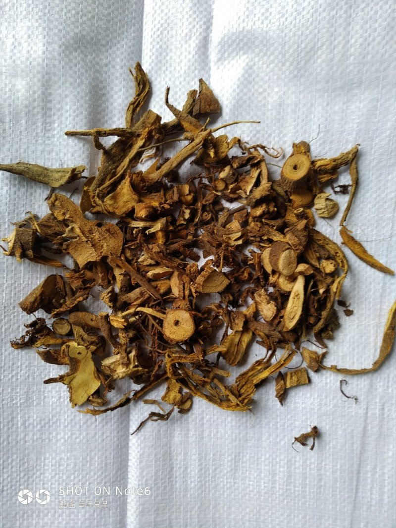 苎麻根