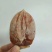 富平柿饼